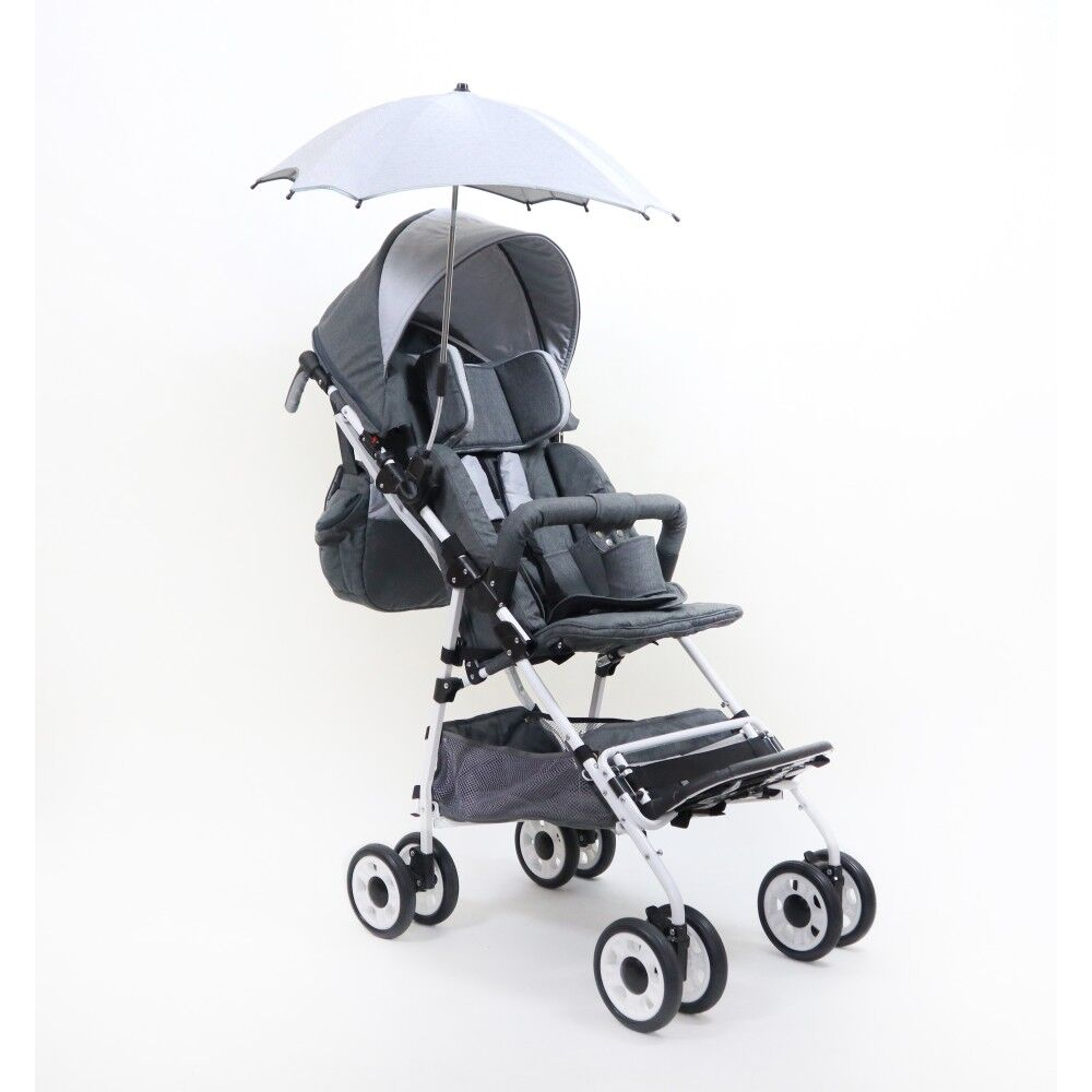 Poylin Pegaz Engelli Çocuk Puseti(Full Aksesuarlı)